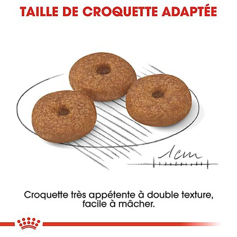Royal Canin - Croquettes Mini Ageing 12+ Pour Chien Senior - 3,5Kg 7 Royal Canin - Croquettes Mini Ageing 12+ Pour Chien Senior - 3,5Kg – Image 5