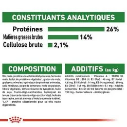 Royal Canin - Croquettes Mini Ageing 12+ Pour Chien Senior - 3,5Kg 15 Royal Canin - Croquettes Mini Ageing 12+ Pour Chien Senior - 3,5Kg -Nourriture pour chien Soldes 67649