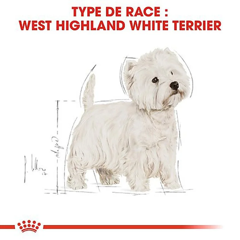Royal Canin - Croquettes Westie Pour Chien Adulte - 3Kg 4 Royal Canin - Croquettes Westie Pour Chien Adulte - 3Kg – Image 2