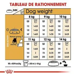Royal Canin - Croquettes Bouledogue Français Pour Chien Adulte - 3Kg 14 Royal Canin - Croquettes Bouledogue Français Pour Chien Adulte - 3Kg -Nourriture pour chien Soldes 67775