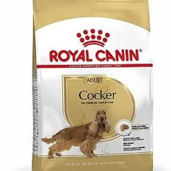 Royal Canin - Croquettes Cocker Pour Chien Adulte