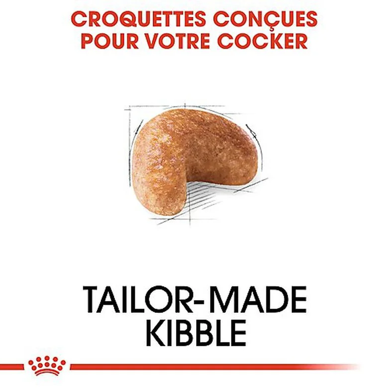 Royal Canin - Croquettes Cocker Pour Chien Adulte 7 Royal Canin - Croquettes Cocker Pour Chien Adulte – Image 5