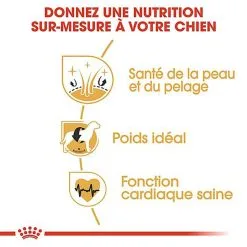 Royal Canin - Croquettes Cocker Pour Chien Adulte 15 Royal Canin - Croquettes Cocker Pour Chien Adulte -Nourriture pour chien Soldes 67781