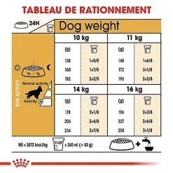 Royal Canin - Croquettes Cocker Pour Chien Adulte 16 Royal Canin - Croquettes Cocker Pour Chien Adulte -Nourriture pour chien Soldes 67782