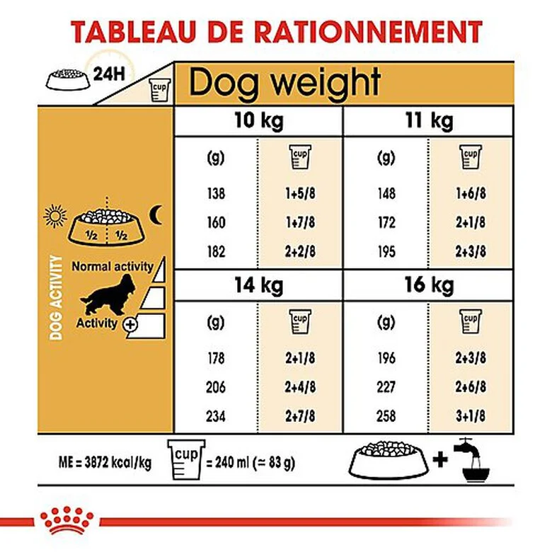 Royal Canin - Croquettes Cocker Pour Chien Adulte 9 Royal Canin - Croquettes Cocker Pour Chien Adulte – Image 7