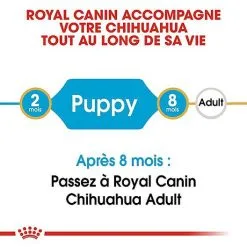 Royal Canin - Croquettes Chihuahua Junior Pour Chiot - 1,5Kg 11 Royal Canin - Croquettes Chihuahua Junior Pour Chiot - 1,5Kg -Nourriture pour chien Soldes 67800