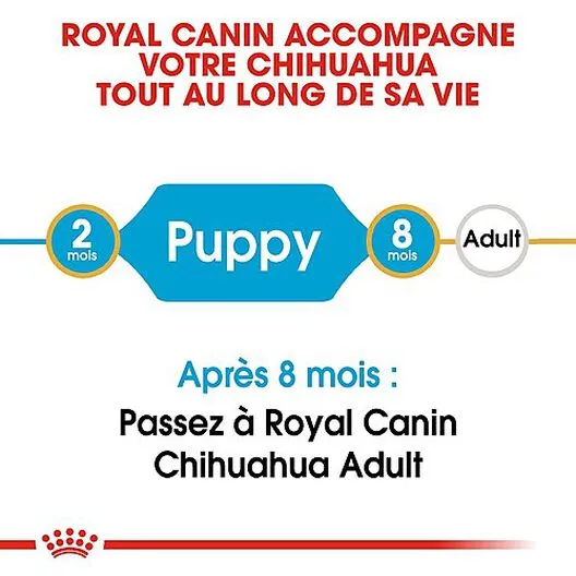 Royal Canin - Croquettes Chihuahua Junior Pour Chiot - 1,5Kg 4 Royal Canin - Croquettes Chihuahua Junior Pour Chiot - 1,5Kg – Image 2
