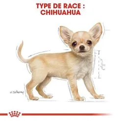 Royal Canin - Croquettes Chihuahua Junior Pour Chiot - 1,5Kg 15 Royal Canin - Croquettes Chihuahua Junior Pour Chiot - 1,5Kg -Nourriture pour chien Soldes 67804