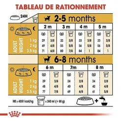 Royal Canin - Croquettes Chihuahua Junior Pour Chiot - 1,5Kg 16 Royal Canin - Croquettes Chihuahua Junior Pour Chiot - 1,5Kg -Nourriture pour chien Soldes 67805