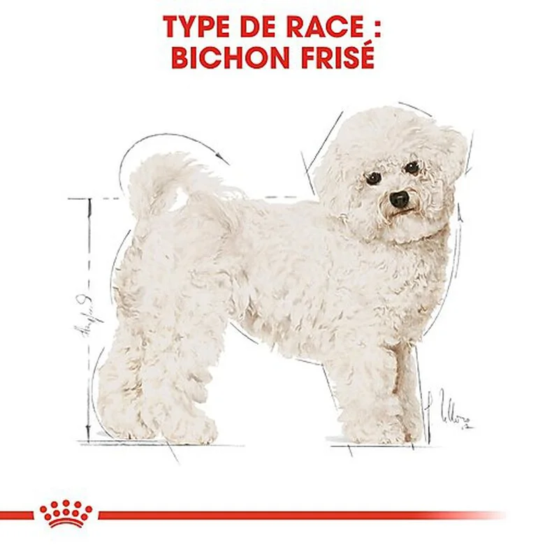 Royal Canin - Croquettes Bichon Frisé Pour Chien Adulte - 1,5Kg 4 Royal Canin - Croquettes Bichon Frisé Pour Chien Adulte - 1,5Kg – Image 2
