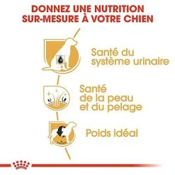 Royal Canin - Croquettes Bichon Frisé Pour Chien Adulte - 1,5Kg 13 Royal Canin - Croquettes Bichon Frisé Pour Chien Adulte - 1,5Kg -Nourriture pour chien Soldes 67818