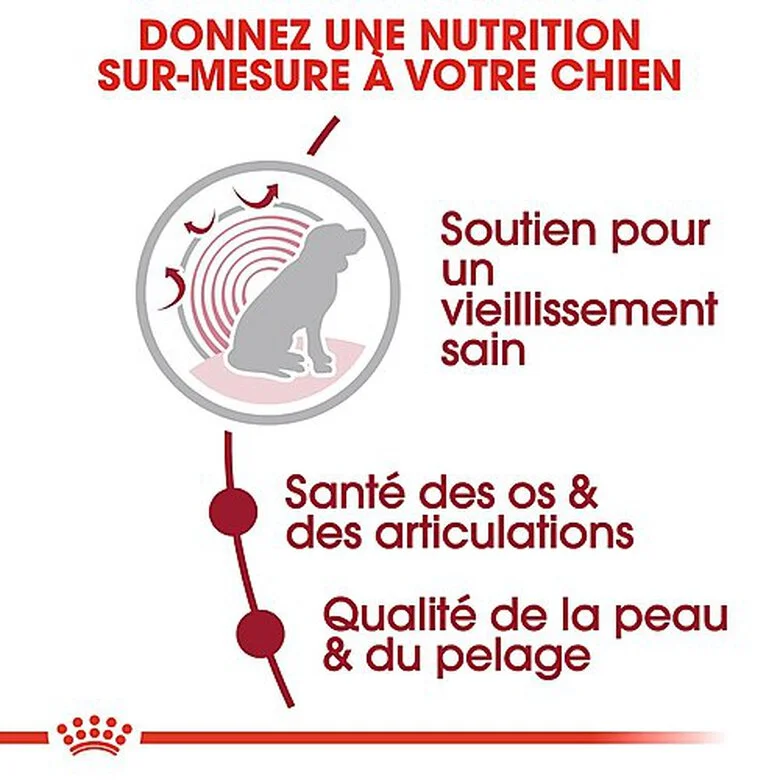 Royal Canin - Croquettes Medium Ageing 10+ Pour Chien Senior - 3Kg 6 Royal Canin - Croquettes Medium Ageing 10+ Pour Chien Senior - 3Kg – Image 4