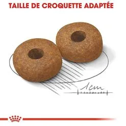 Royal Canin - Croquettes Medium Ageing 10+ Pour Chien Senior - 3Kg 13 Royal Canin - Croquettes Medium Ageing 10+ Pour Chien Senior - 3Kg -Nourriture pour chien Soldes 67946