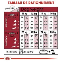 Royal Canin - Croquettes Medium Ageing 10+ Pour Chien Senior - 3Kg 14 Royal Canin - Croquettes Medium Ageing 10+ Pour Chien Senior - 3Kg -Nourriture pour chien Soldes 67948