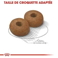 Royal Canin - Croquettes Maxi Ageing 8+ Pour Chien Senior - 3Kg 13 Royal Canin - Croquettes Maxi Ageing 8+ Pour Chien Senior - 3Kg -Nourriture pour chien Soldes 67953