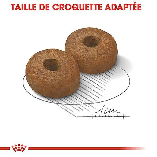 Royal Canin - Croquettes Maxi Ageing 8+ Pour Chien Senior - 3Kg 7 Royal Canin - Croquettes Maxi Ageing 8+ Pour Chien Senior - 3Kg – Image 5