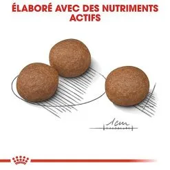 Royal Canin - Croquettes Digestive Care Pour Chien - 3Kg 14 Royal Canin - Croquettes Digestive Care Pour Chien - 3Kg -Nourriture pour chien Soldes 68007
