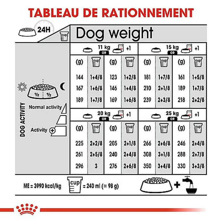 Royal Canin - Croquettes Digestive Care Pour Chien - 3Kg 9 Royal Canin - Croquettes Digestive Care Pour Chien - 3Kg – Image 7