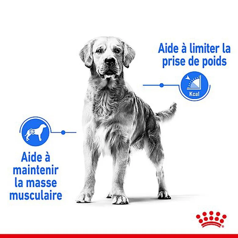 Royal Canin - Croquettes Medium Light Weight Care Pour Chien - 3Kg 5 Royal Canin - Croquettes Medium Light Weight Care Pour Chien - 3Kg – Image 3