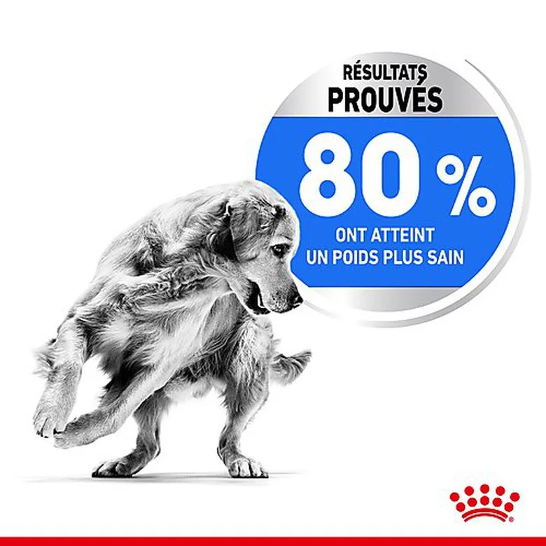 Royal Canin - Croquettes Medium Light Weight Care Pour Chien - 3Kg 6 Royal Canin - Croquettes Medium Light Weight Care Pour Chien - 3Kg – Image 4