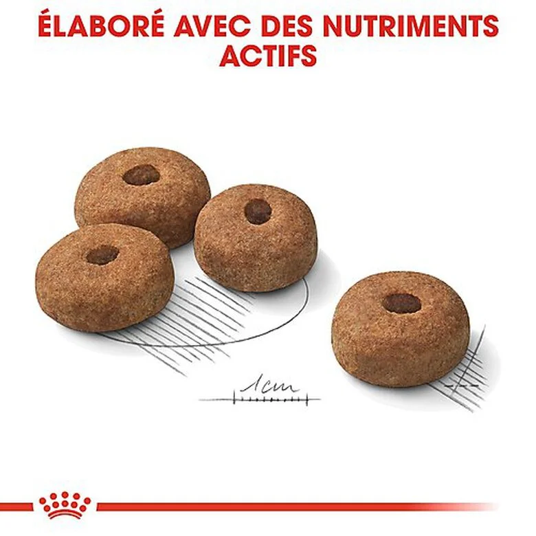 Royal Canin - Croquettes Maxi Sterilised Pour Chien Adulte Stérilisé - 3Kg 7 Royal Canin - Croquettes Maxi Sterilised Pour Chien Adulte Stérilisé - 3Kg – Image 5