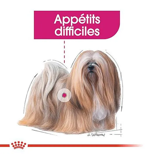 Royal Canin - Croquettes Mini Exigent Pour Chien - 3Kg 5 Royal Canin - Croquettes Mini Exigent Pour Chien - 3Kg – Image 3
