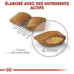 Royal Canin - Croquettes Mini Exigent Pour Chien - 3Kg 14 Royal Canin - Croquettes Mini Exigent Pour Chien - 3Kg -Nourriture pour chien Soldes 68084