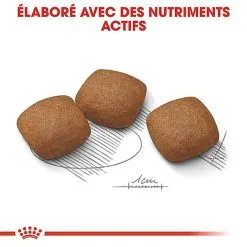 Royal Canin - Croquettes Maxi Joint Care Pour Chien - 10Kg 13 Royal Canin - Croquettes Maxi Joint Care Pour Chien - 10Kg -Nourriture pour chien Soldes 68092