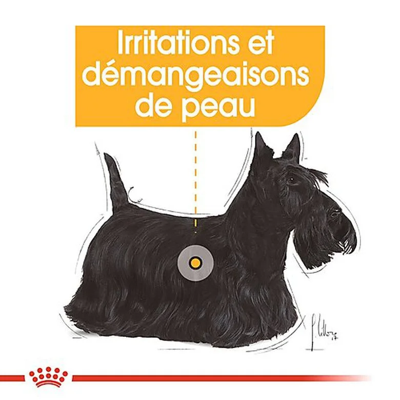 Royal Canin - Croquettes Mini Dermacomfort Pour Chien - 2Kg 5 Royal Canin - Croquettes Mini Dermacomfort Pour Chien - 2Kg – Image 3