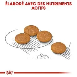 Royal Canin - Croquettes Mini Dermacomfort Pour Chien - 2Kg 14 Royal Canin - Croquettes Mini Dermacomfort Pour Chien - 2Kg -Nourriture pour chien Soldes 68100