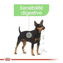Royal Canin - Croquettes Mini Digestive Care Pour Chien - 3Kg 14 Royal Canin - Croquettes Mini Digestive Care Pour Chien - 3Kg -Nourriture pour chien Soldes 68122