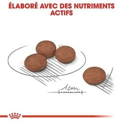 Royal Canin - Croquettes Mini Digestive Care Pour Chien - 3Kg 16 Royal Canin - Croquettes Mini Digestive Care Pour Chien - 3Kg -Nourriture pour chien Soldes 68124