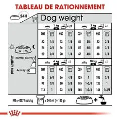 Royal Canin - Croquettes Mini Digestive Care Pour Chien - 3Kg 18 Royal Canin - Croquettes Mini Digestive Care Pour Chien - 3Kg -Nourriture pour chien Soldes 68126