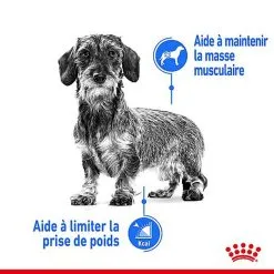 Royal Canin - Croquettes Mini Light Weight Care Pour Chien - 3Kg 12 Royal Canin - Croquettes Mini Light Weight Care Pour Chien - 3Kg -Nourriture pour chien Soldes 68138