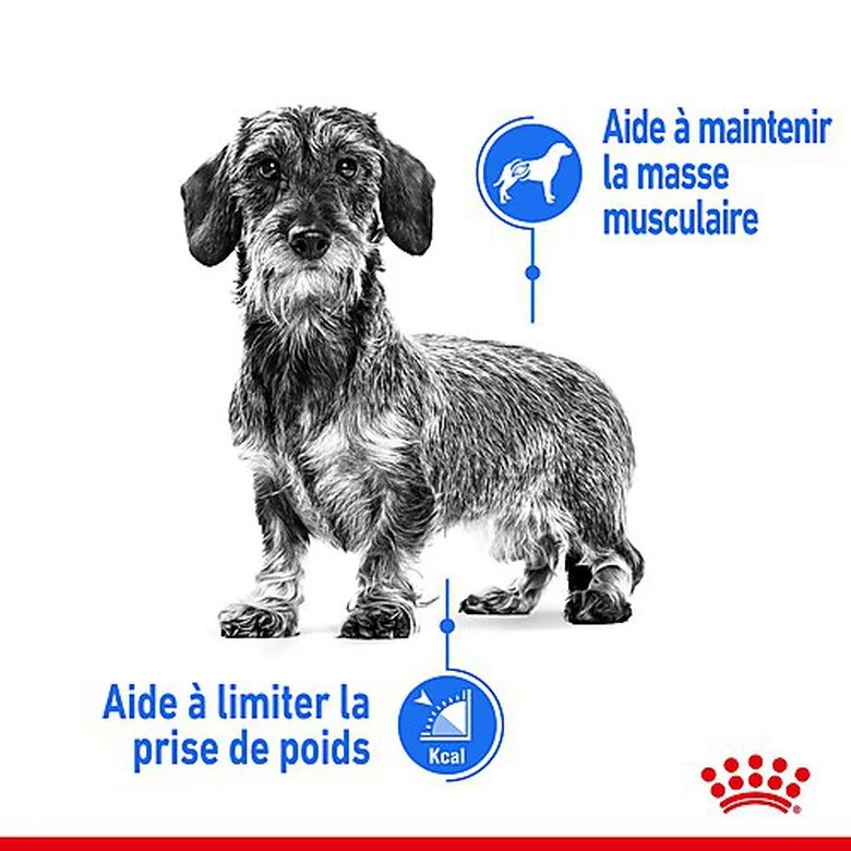 Royal Canin - Croquettes Mini Light Weight Care Pour Chien - 3Kg 5 Royal Canin - Croquettes Mini Light Weight Care Pour Chien - 3Kg – Image 3