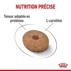 Royal Canin - Croquettes Mini Light Weight Care Pour Chien - 3Kg 14 Royal Canin - Croquettes Mini Light Weight Care Pour Chien - 3Kg -Nourriture pour chien Soldes 68140
