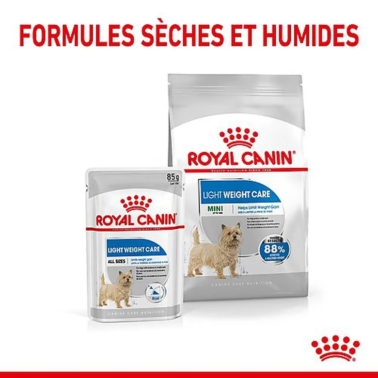 Royal Canin - Croquettes Mini Light Weight Care Pour Chien - 3Kg 8 Royal Canin - Croquettes Mini Light Weight Care Pour Chien - 3Kg – Image 6