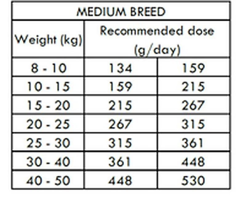 Nath - Croquettes Medium/Maxi Adult Sensitive Au Poisson Et Saumon Pour Chien - 12Kg 4 Nath - Croquettes Medium/Maxi Adult Sensitive Au Poisson Et Saumon Pour Chien - 12Kg – Image 2