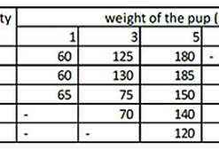 Nourriture pour chien Soldes -Nourriture pour chien Soldes 68273