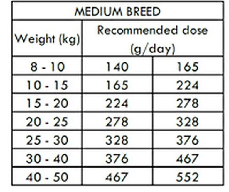 Nath - Croquettes Medium Adult Au Poulet Pour Chien - 3Kg 4 Nath - Croquettes Medium Adult Au Poulet Pour Chien - 3Kg – Image 2