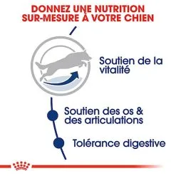 Royal Canin - Croquettes Maxi Adult 5+ Pour Grand Chien - 4Kg 9 Royal Canin - Croquettes Maxi Adult 5+ Pour Grand Chien - 4Kg -Nourriture pour chien Soldes 74341