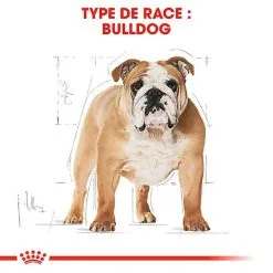 Royal Canin - Croquettes Bulldog Adult Pour Chiens - 3Kg 9 Royal Canin - Croquettes Bulldog Adult Pour Chiens - 3Kg -Nourriture pour chien Soldes 74365