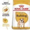 Royal Canin - Croquettes Bulldog Adult Pour Chiens - 3Kg 1 Royal Canin - Croquettes Bulldog Adult Pour Chiens - 3Kg -Nourriture pour chien Soldes 74366