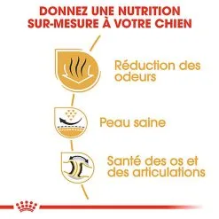 Royal Canin - Croquettes Bulldog Adult Pour Chiens - 3Kg 11 Royal Canin - Croquettes Bulldog Adult Pour Chiens - 3Kg -Nourriture pour chien Soldes 74368