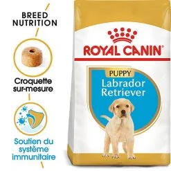 Royal Canin - Croquettes Puppy Labrador Retriever Pour Chiots - 3Kg