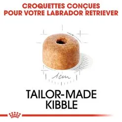 Royal Canin - Croquettes Puppy Labrador Retriever Pour Chiots - 3Kg 11 Royal Canin - Croquettes Puppy Labrador Retriever Pour Chiots - 3Kg -Nourriture pour chien Soldes 74383