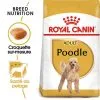 Royal Canin - Croquettes Poodle Adult Caniche Pour Chien - 1,5Kg -Nourriture pour chien Soldes 74389