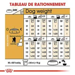 Royal Canin - Croquettes Poodle Adult Caniche Pour Chien - 1,5Kg 11 Royal Canin - Croquettes Poodle Adult Caniche Pour Chien - 1,5Kg -Nourriture pour chien Soldes 74394