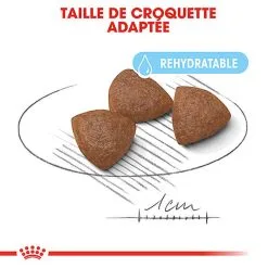 Royal Canin - Croquettes Starter Mother & Babydog Medium Pour Chiennes Et Chiots - 4KG 11 Royal Canin - Croquettes Starter Mother & Babydog Medium Pour Chiennes Et Chiots - 4KG -Nourriture pour chien Soldes 74402