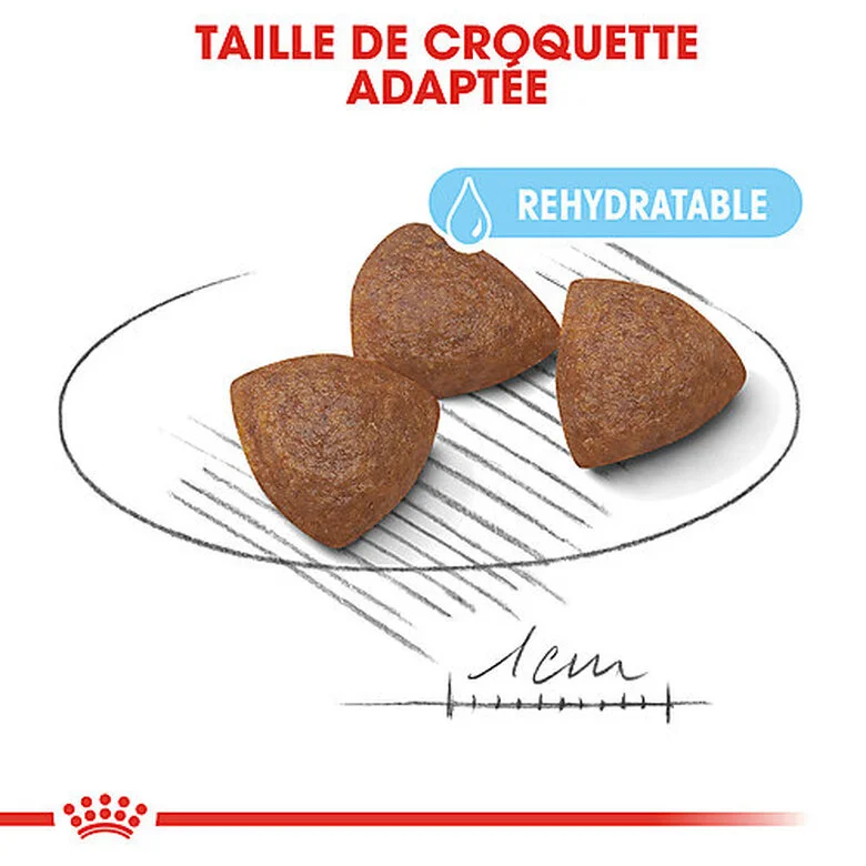 Royal Canin - Croquettes Starter Mother & Babydog Medium Pour Chiennes Et Chiots - 4KG 6 Royal Canin - Croquettes Starter Mother & Babydog Medium Pour Chiennes Et Chiots - 4KG – Image 4